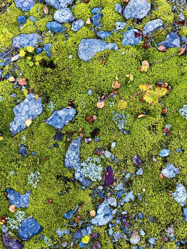 Photograph by Ekaterina Chernyshova