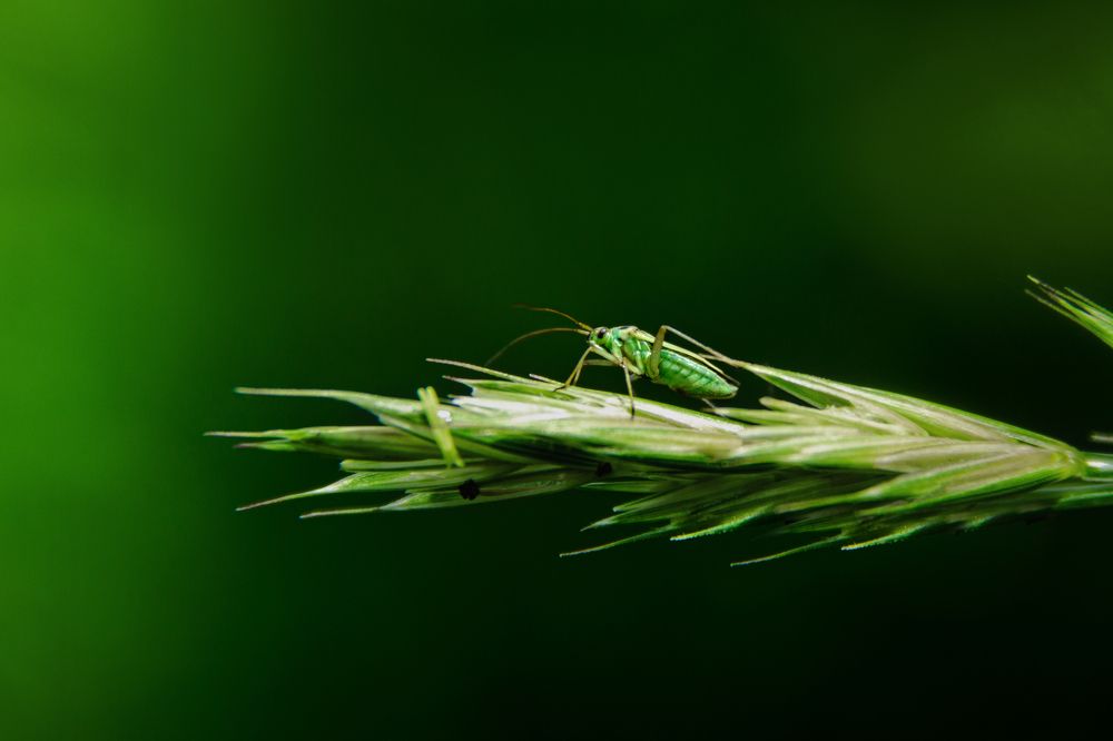 Photograph by Татьяна Степанова