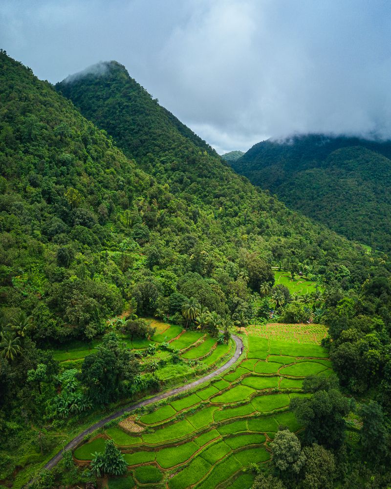 Rice Terraces