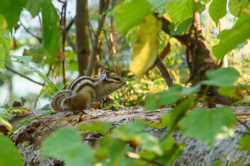 Photograph by Артём Самусенко