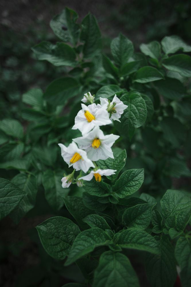 Photograph by Татьяна Степанова