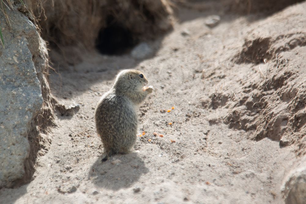 Photograph by Nadezhda Bakina