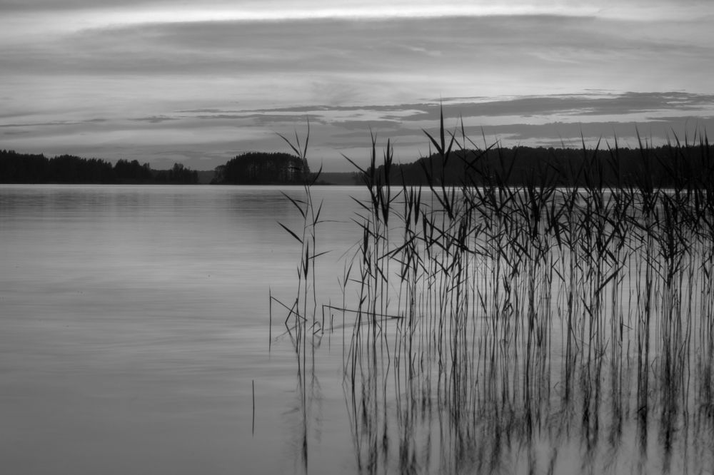 Photograph by Екатерина Рябинина