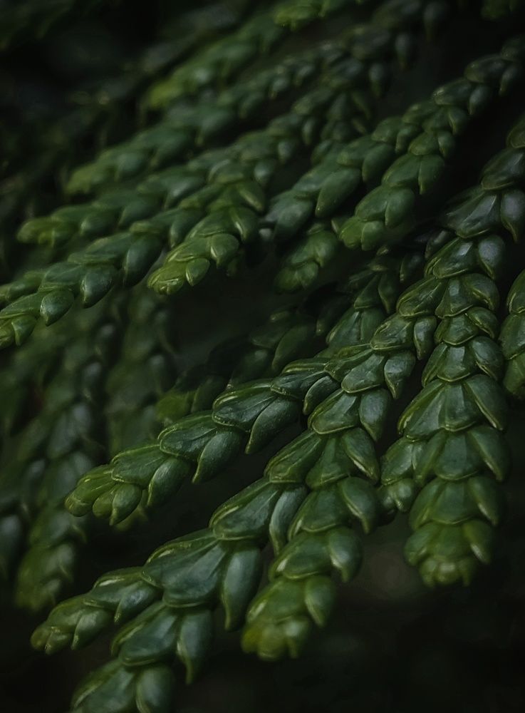 Photograph by Анна Чичилова