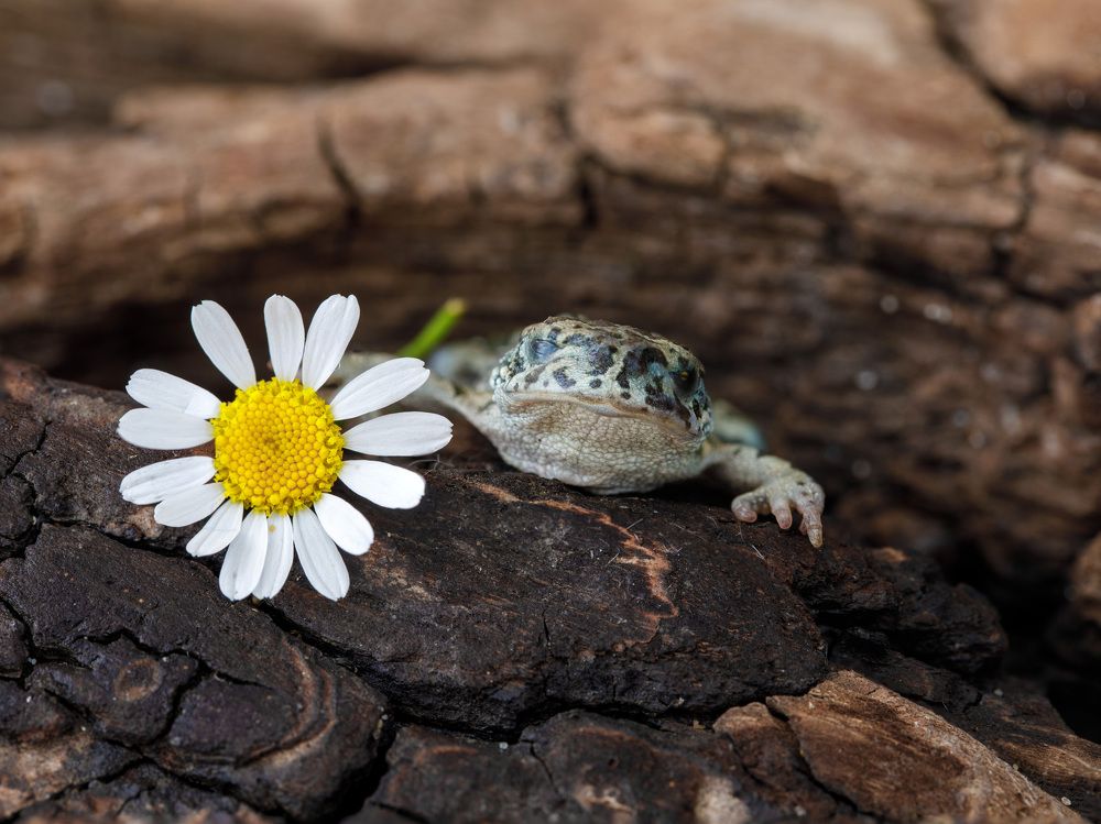 Photograph by Людмила Аксенова