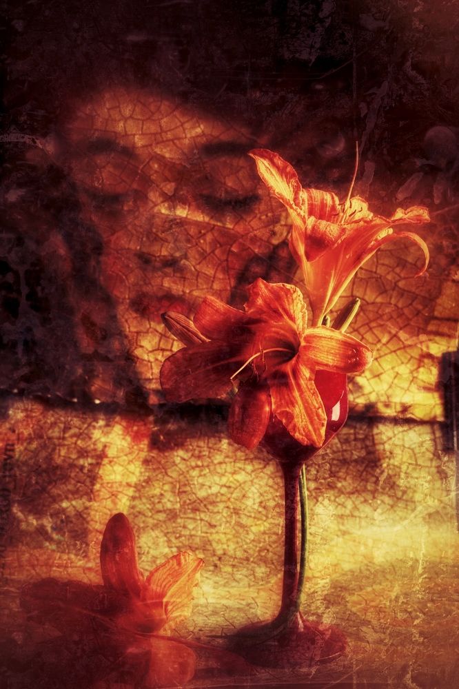 Photograph by Ольга Шевченко