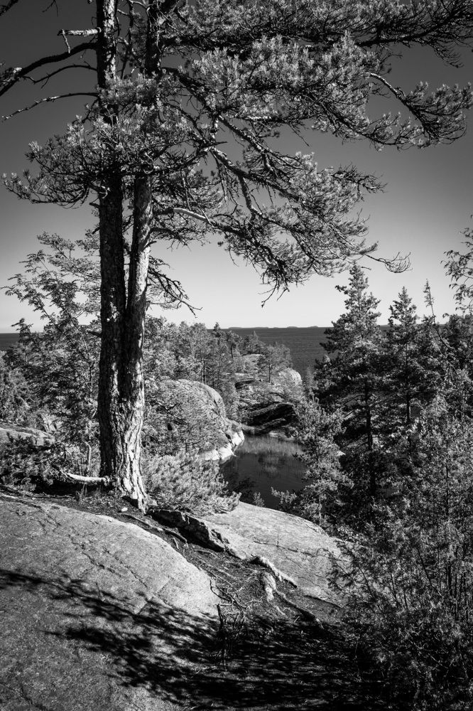 Photograph by Мария Катасонова