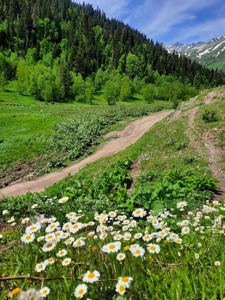 Photograph by Елена