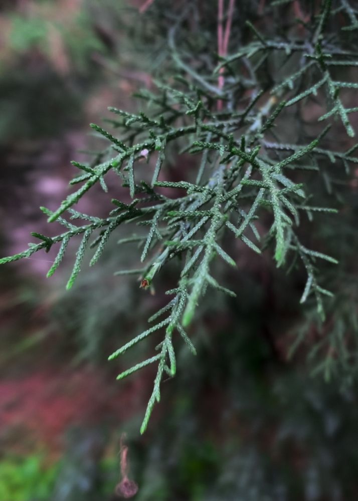 Photograph by Екатерина Меньшакова