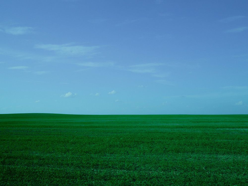 Фотография автора Надежда Кулявова