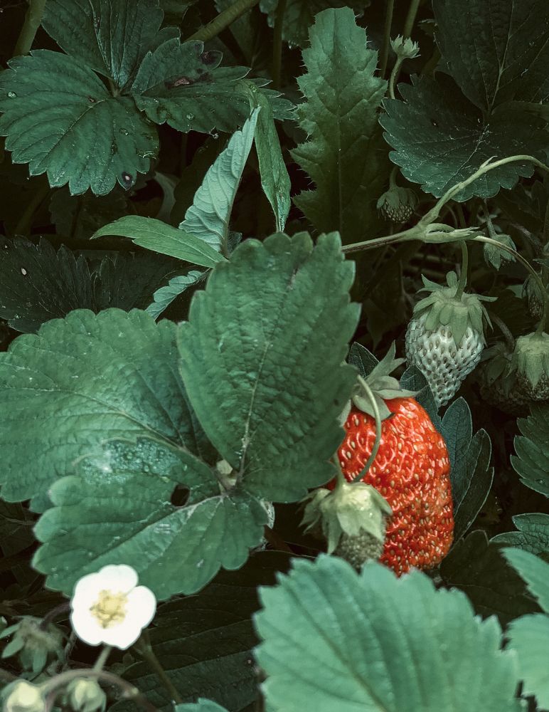 Photograph by Екатерина Меньшакова