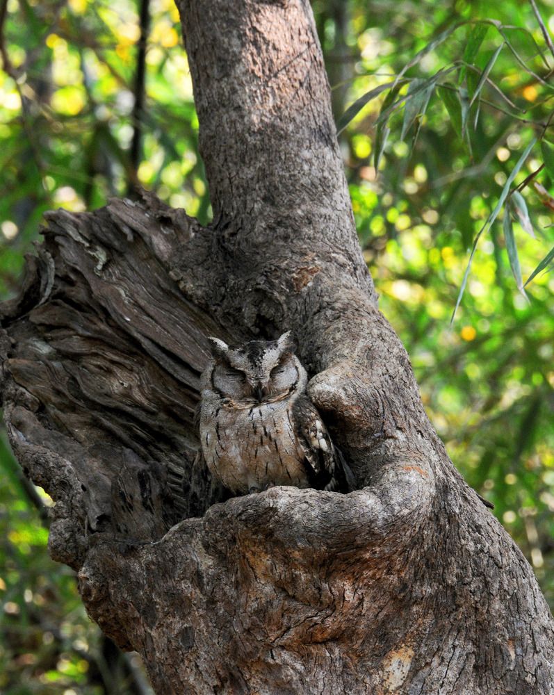 Photograph by Madhuli Mahulkar