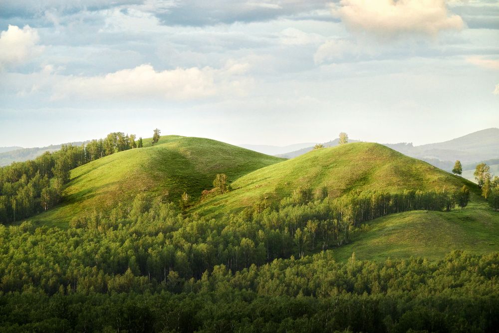 Зелёные "барханы" Башкирии