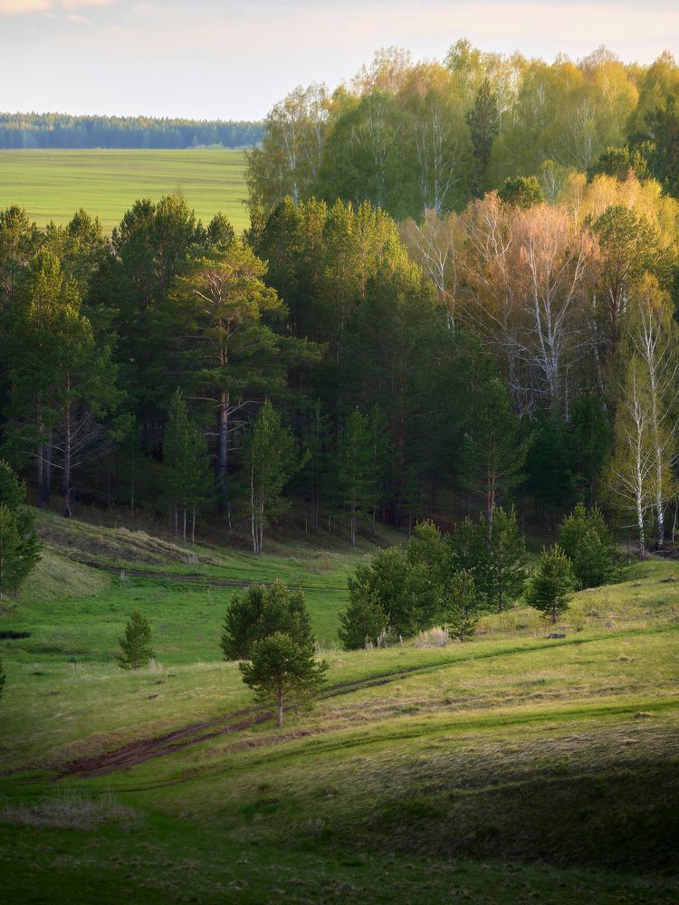 Photograph by Шаньгин Михаил
