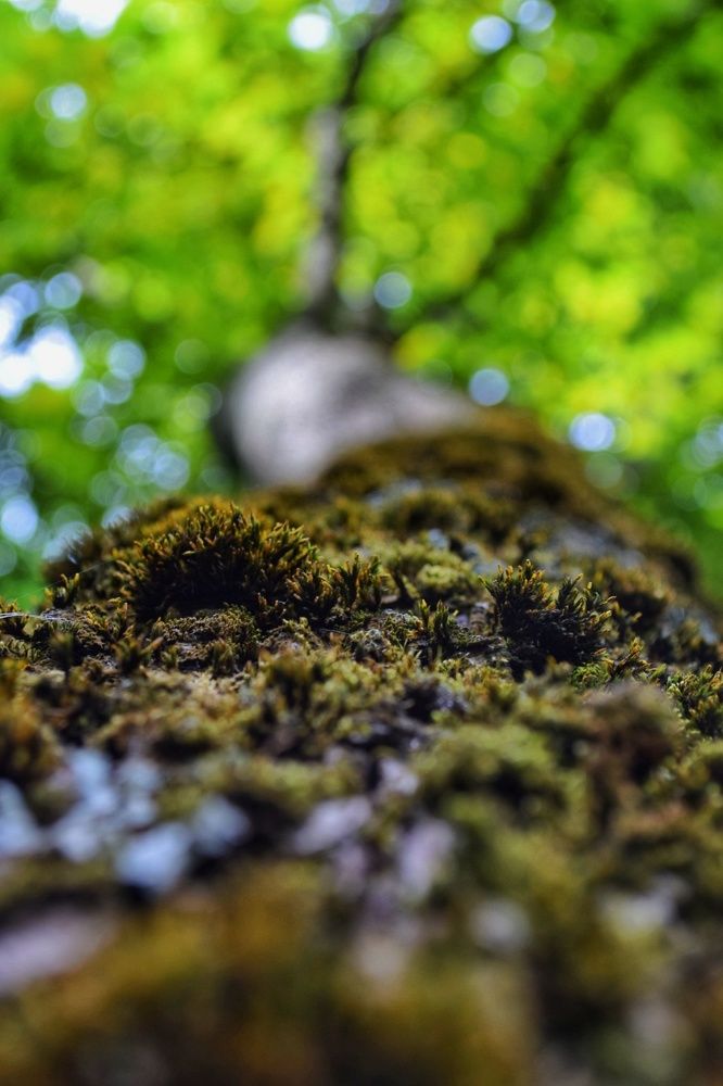 Photograph by Ирина Лучинская