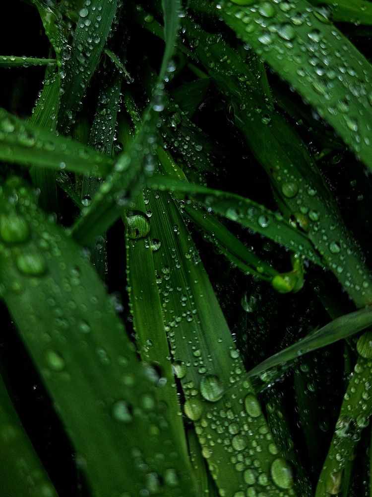 Photograph by Ирина Лучинская