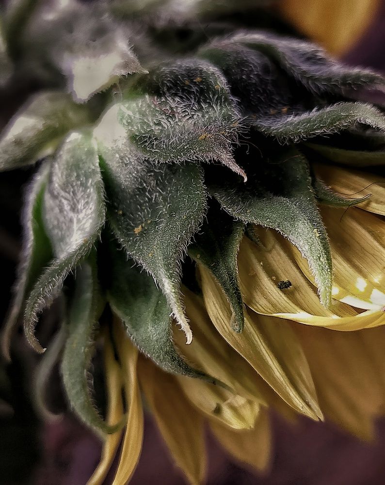 Photograph by Ольга Мартьянова