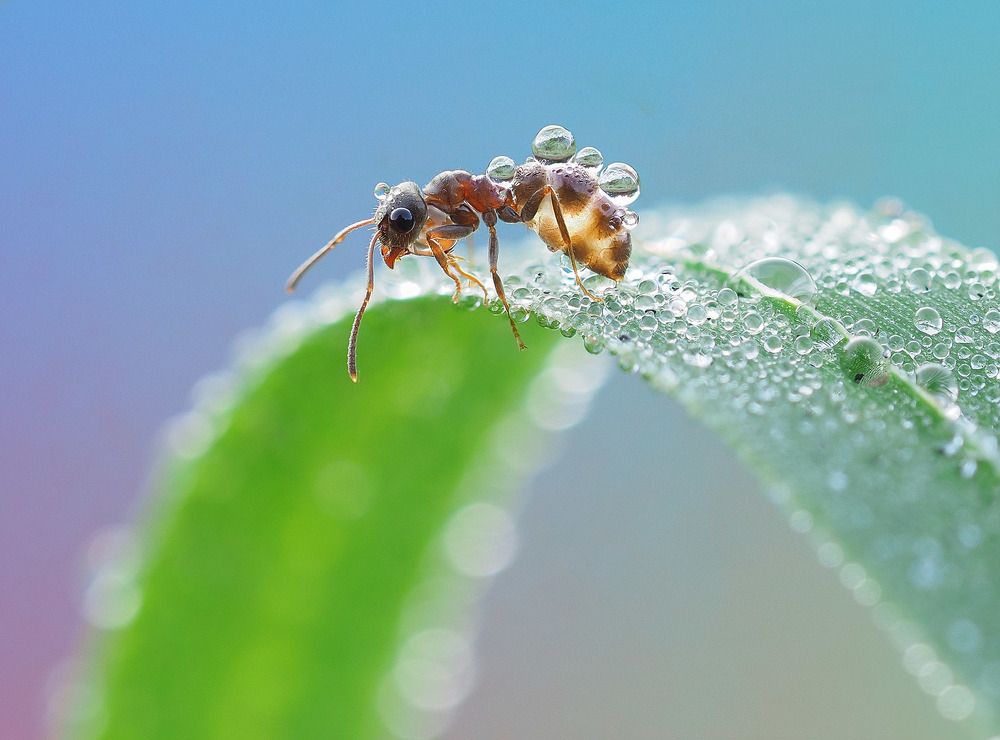 Photograph by Лукашук Евгений