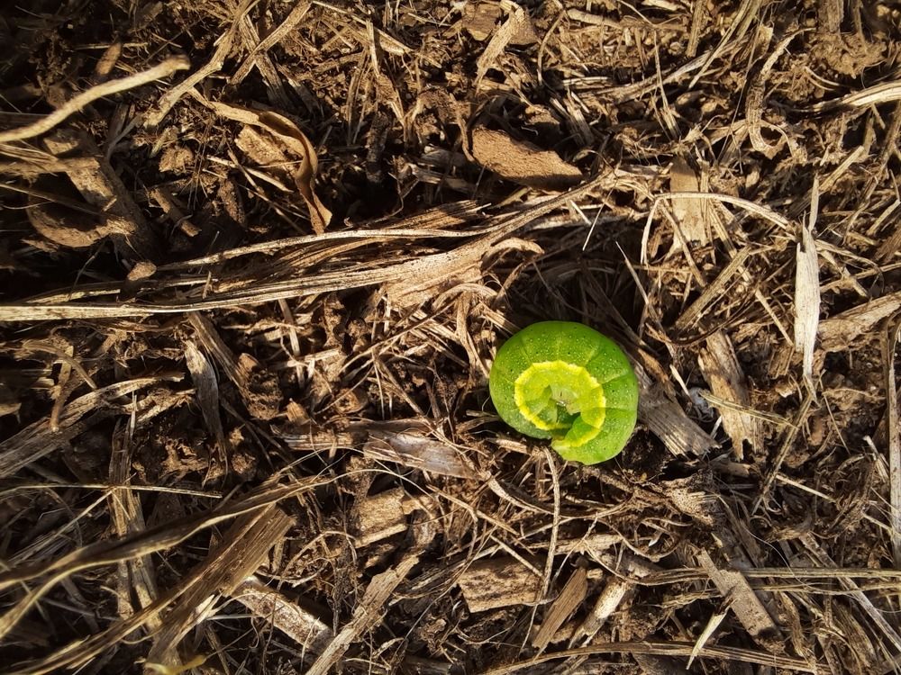 Photograph by Ольга