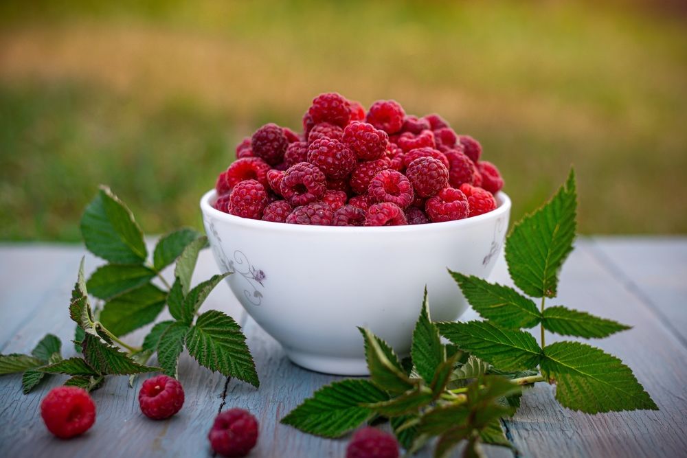 Photograph by Анна Бауэр-Корнева