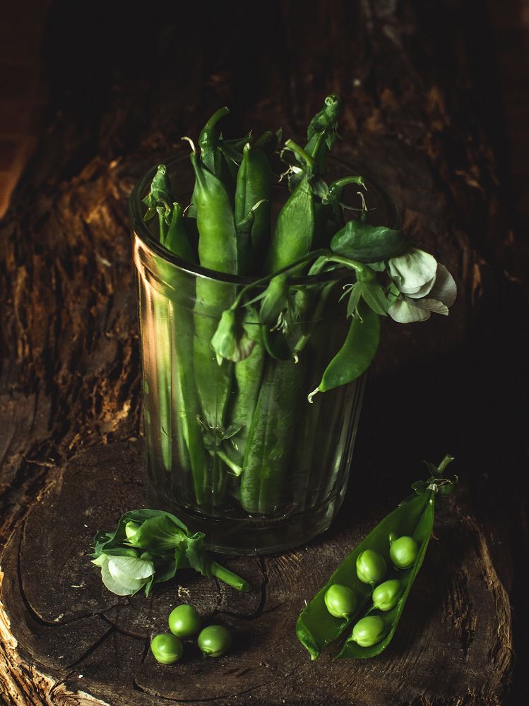 Photograph by Rogozina Olga