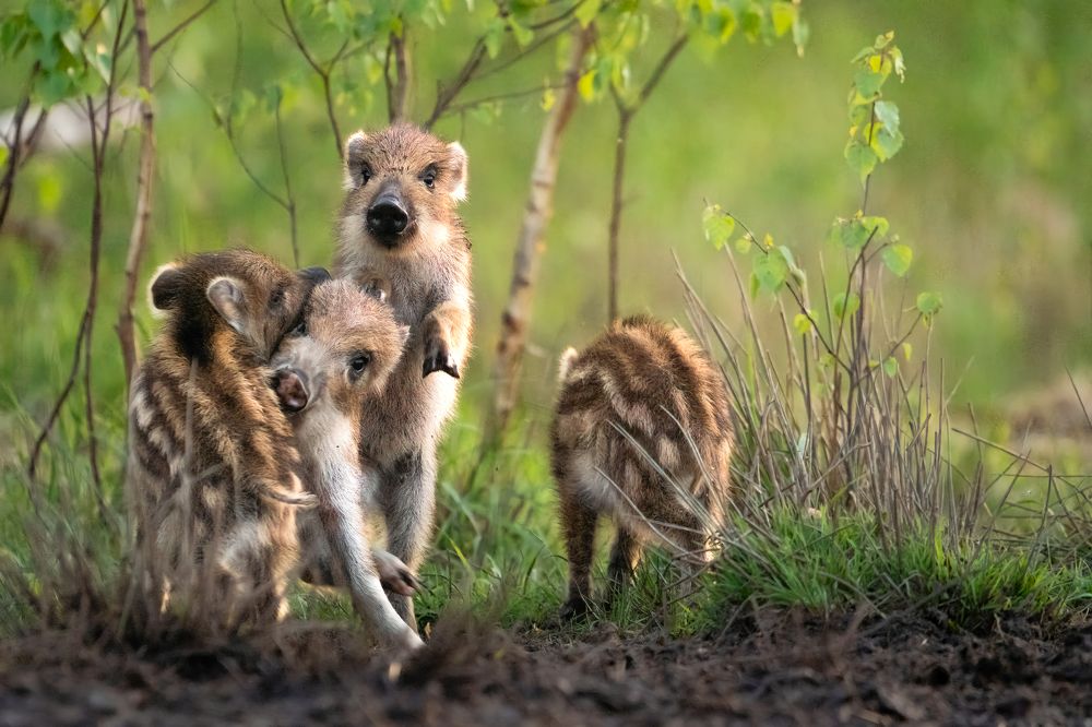 Photograph by Katarzyna