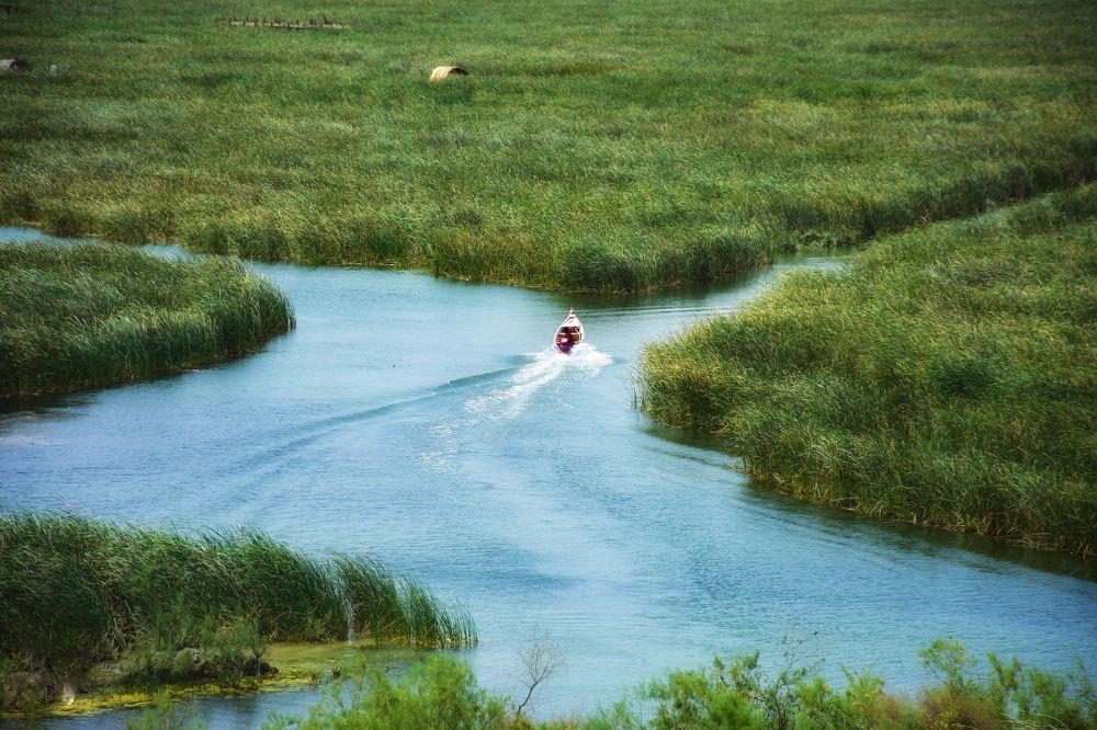 Photograph by Montadher AL-waeil