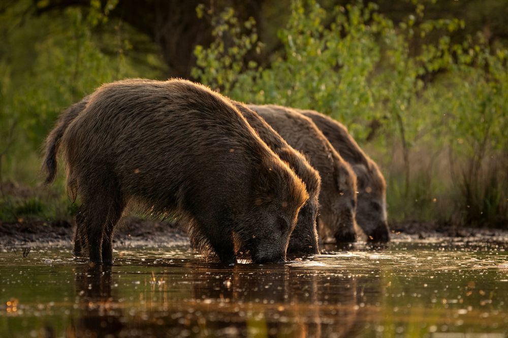 Photograph by Katarzyna Nagrabecka