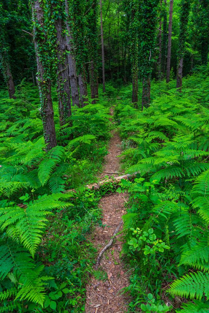 Фотография автора Виктор Демидов