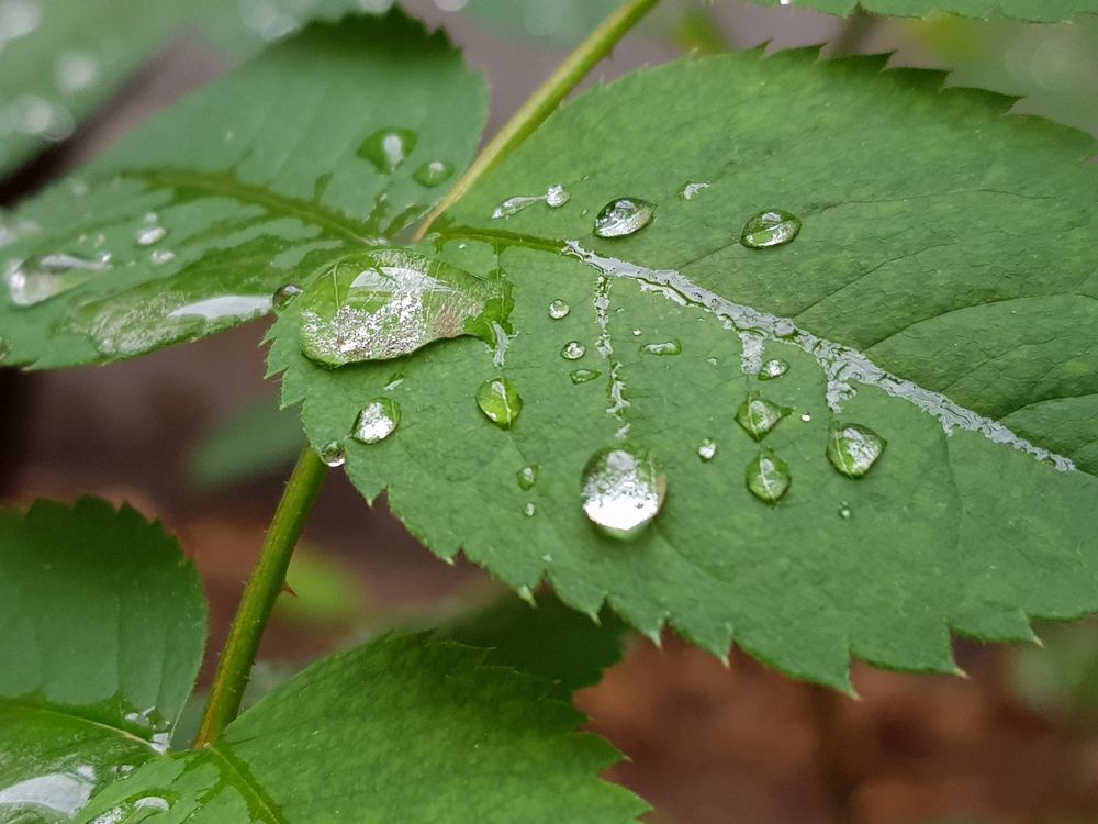Photograph by Mohammad Mahdi Khojasteh