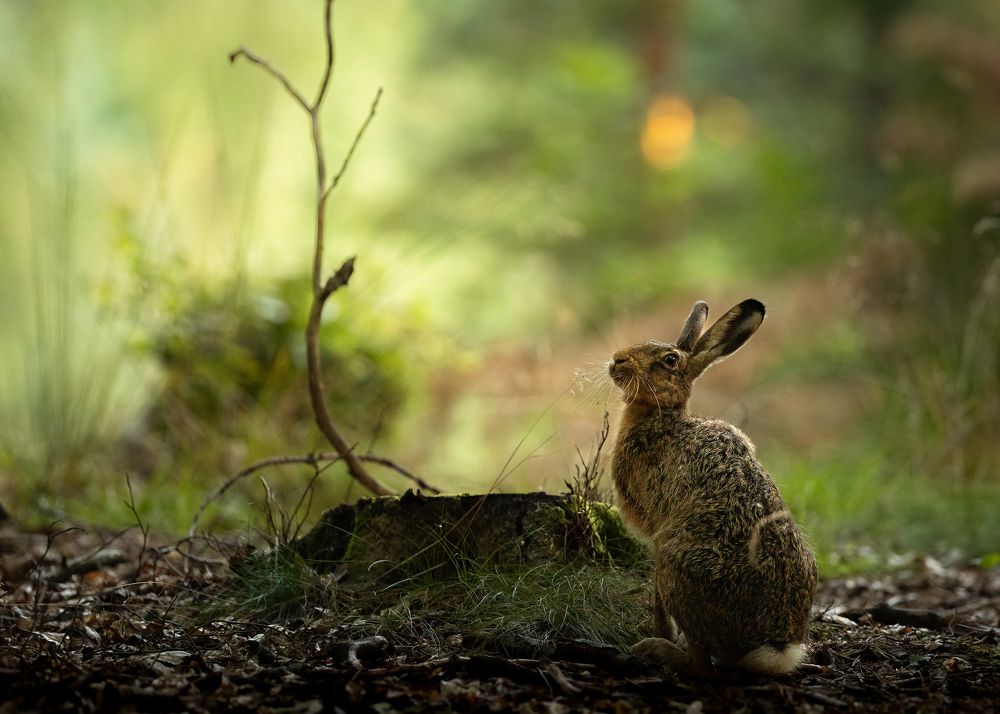 Photograph by Katarzyna Nagrabecka