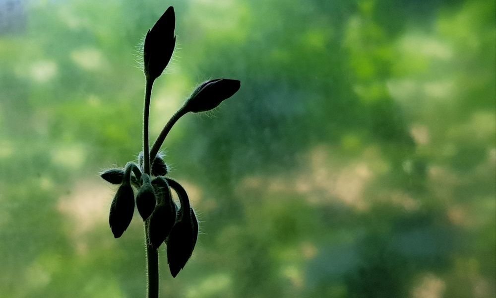 Photograph by Mohammad Mahdi Khojasteh