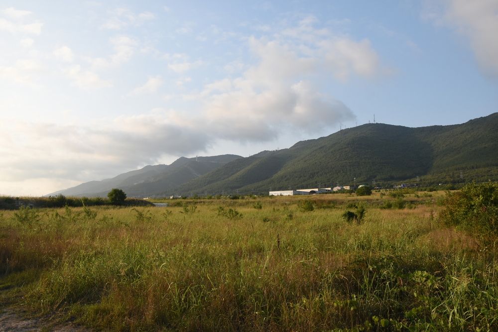 Photograph by Konstantin Kalmykov