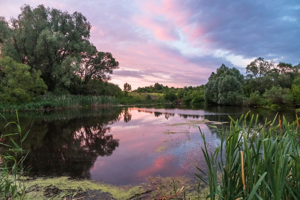 Уходящий день