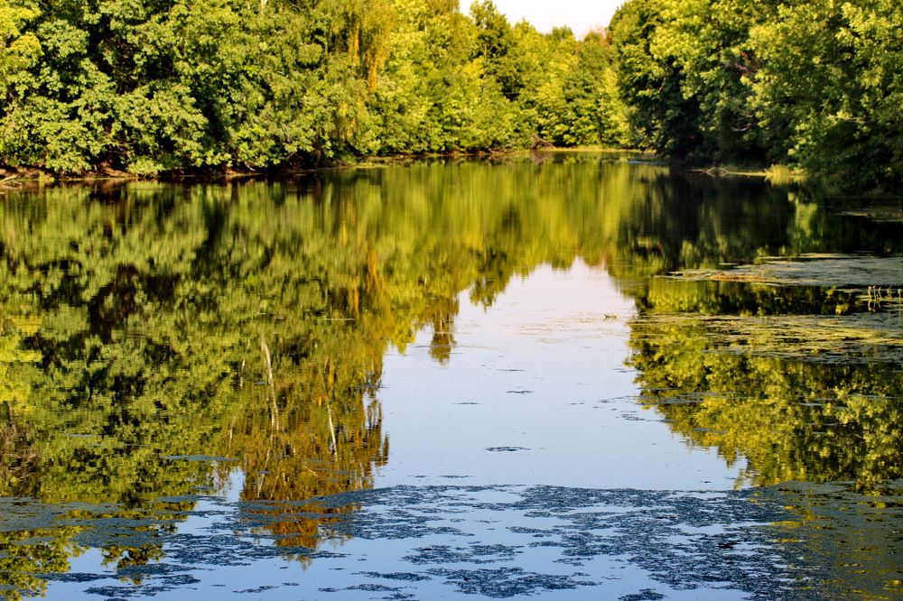 Photograph by Николай Николаевич Леухин