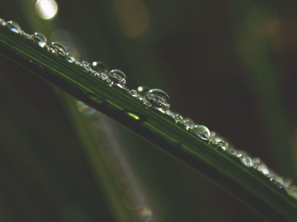 Photograph by Светлана Филимонова