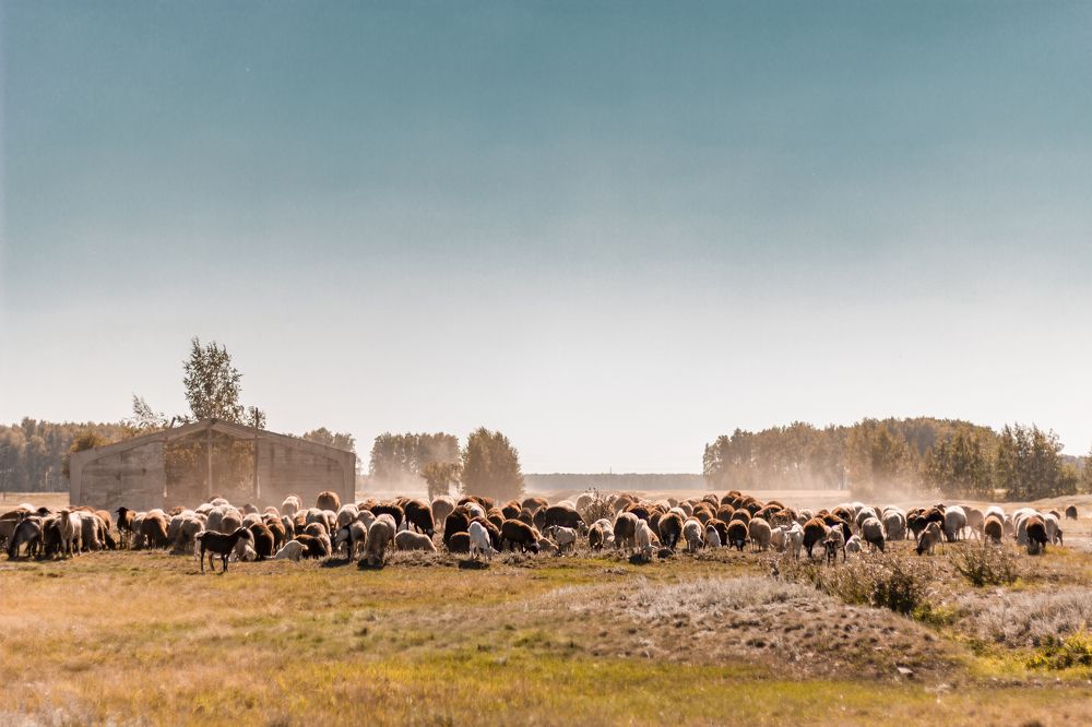 Photograph by Екатерина Кузьмичева