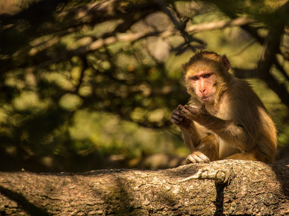 Photograph by Reyaansh Mittal