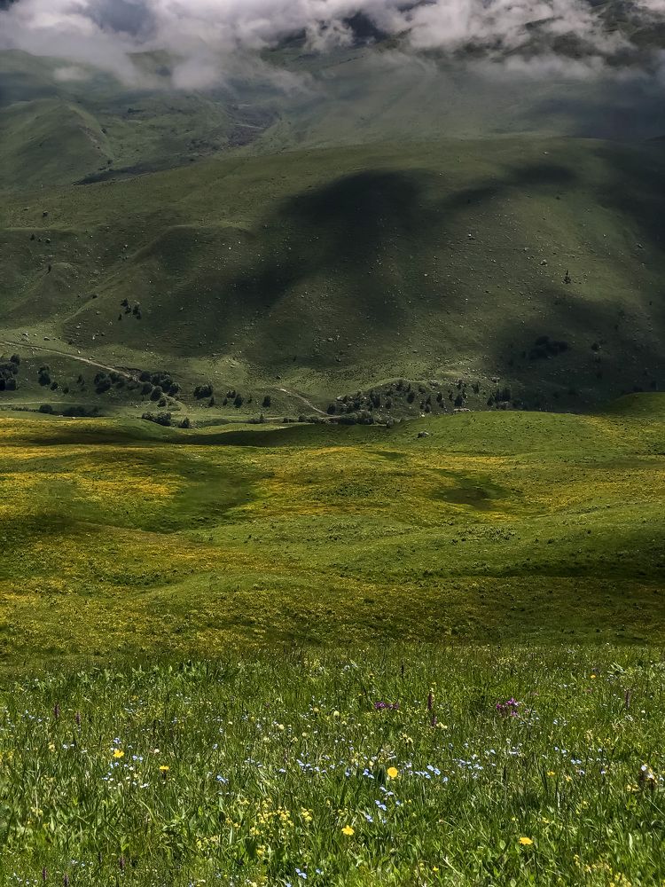 Photograph by Людмила Евстратова