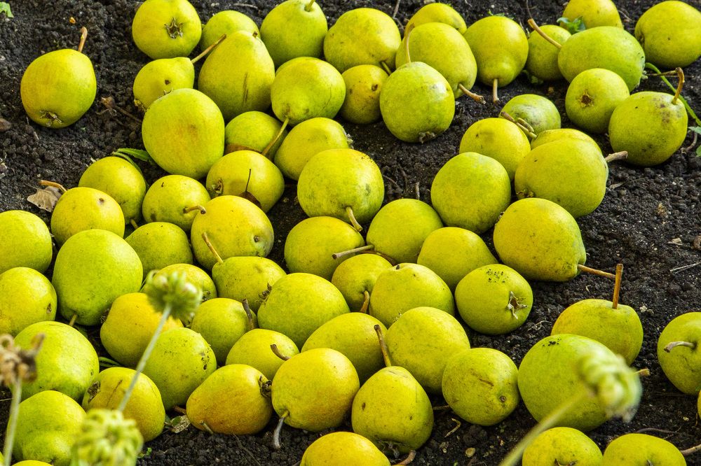 Фотография автора Валерий Каргин