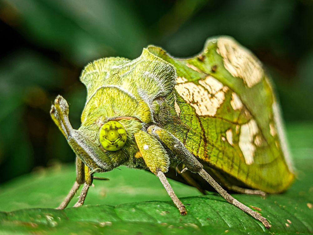 Photograph by Vaishnav K V