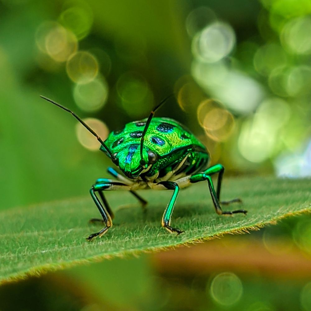 Photograph by Vaishnav K V