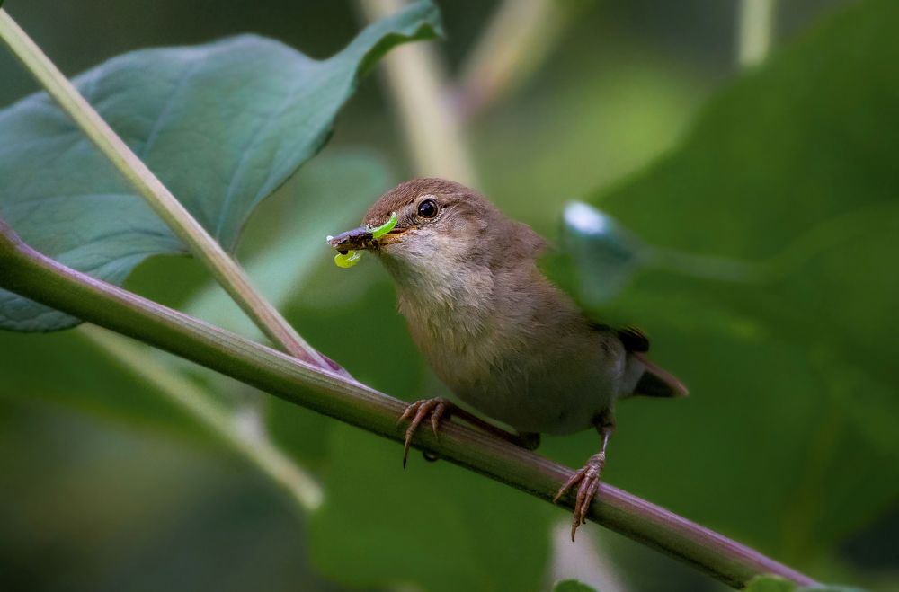 Photograph by Александр Перегудов