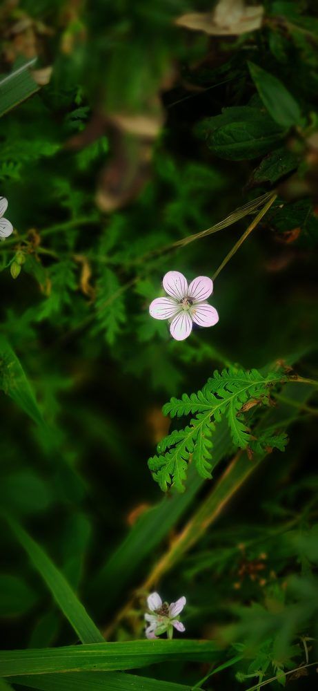 Photograph by Алексей Зудин