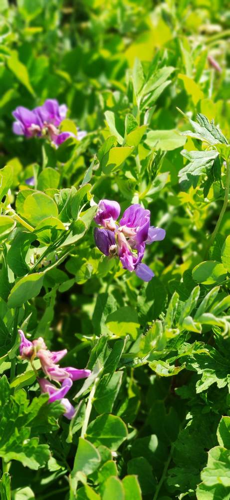 Photograph by Алексей Зудин