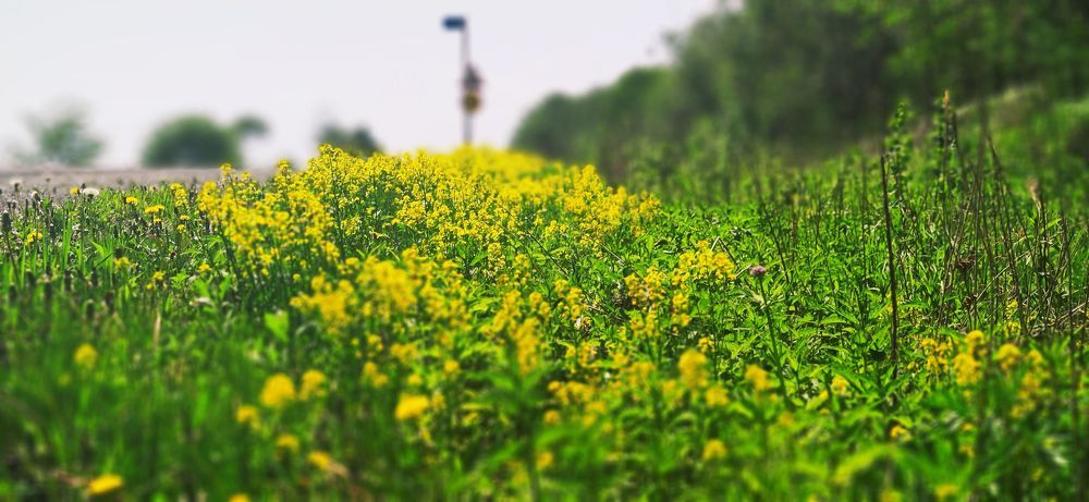 Photograph by Алексей Зудин