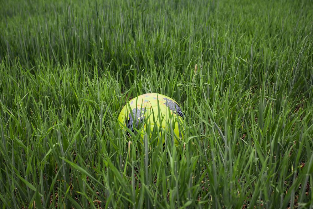 Photograph by Екатерина Кузьмичева