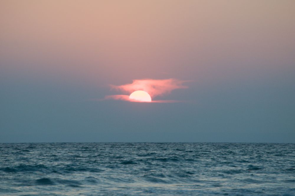 Photograph by Алёна Степанюк