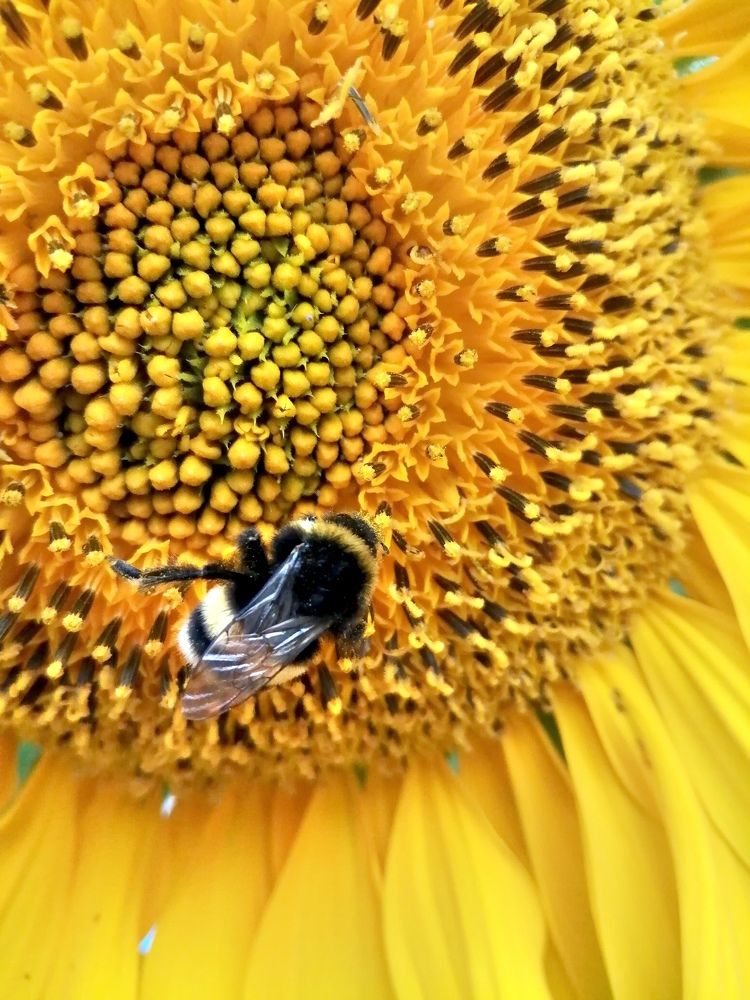 Photograph by Галина Смирнова