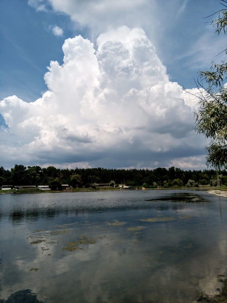 Photograph by Татьяна Пальчикова